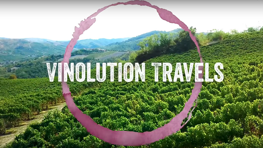 Delhaize Vinolution Travels